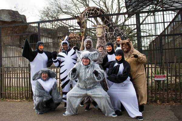 Photo Flash: Cast of MADAGASCAR Visits the Jackson Zoological Park! Image