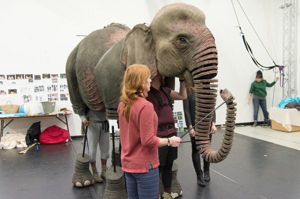 Photo Flash: First Look at Rehearsal Photos for the UK Tour of RUNNING WILD Image