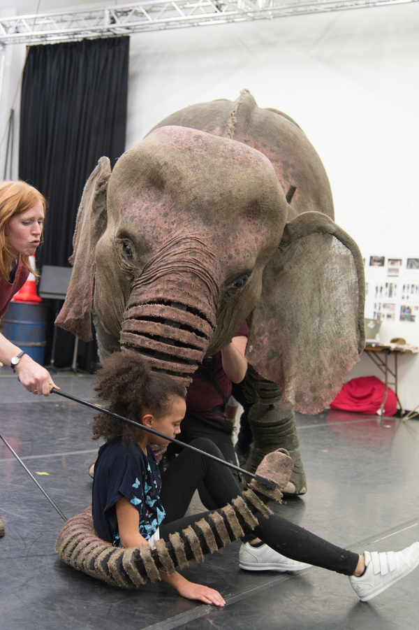 Photo Flash: First Look at Rehearsal Photos for the UK Tour of RUNNING WILD Image