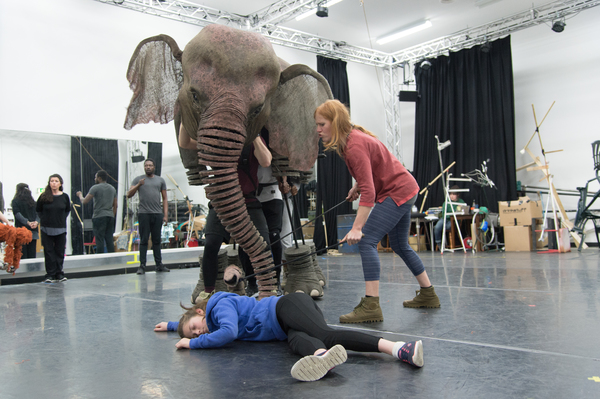 Photo Flash: First Look at Rehearsal Photos for the UK Tour of RUNNING WILD Image