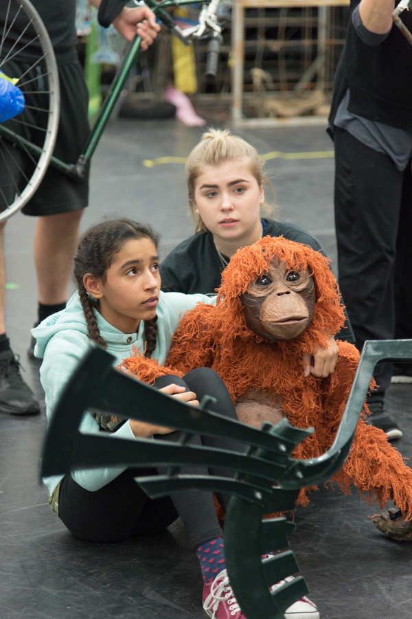 Photo Flash: First Look at Rehearsal Photos for the UK Tour of RUNNING WILD Image