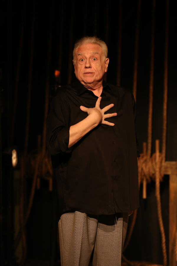 Photo Flash: GEORGIE: MY ADVENTURES WITH GEORGE ROSE, Starring Ed Dixon, Opens Tonight! Image