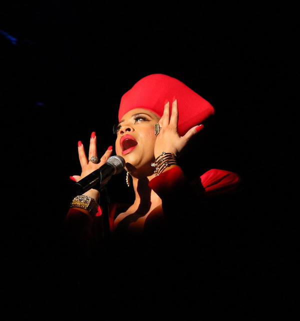 Photo Flash: First Look at Jacqueline B. Arnold in AN EVENING WITH PHYLLIS HYMAN Off-Broadway Image