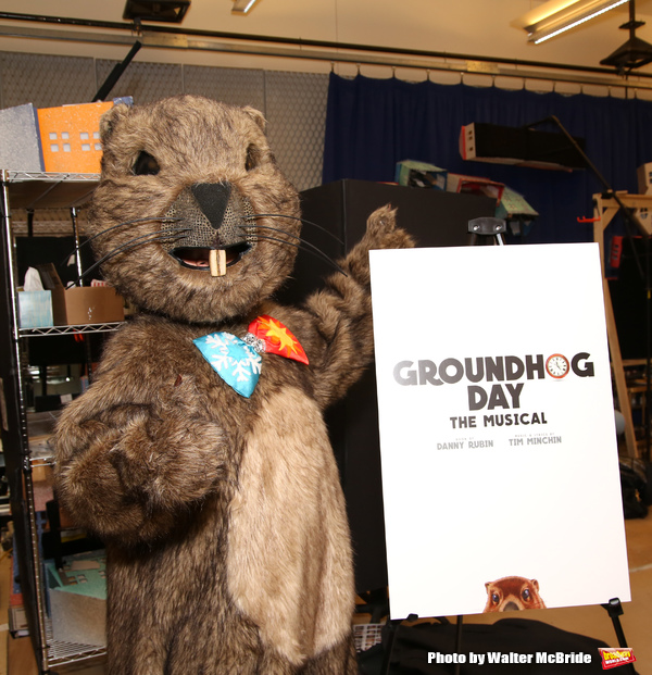 Photo Coverage: Just In Time! Meet the Company of GROUNDHOG DAY on Broadway Image