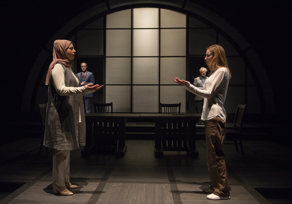 Photo Flash: Northlight Theatre Company presents FACELESS Image
