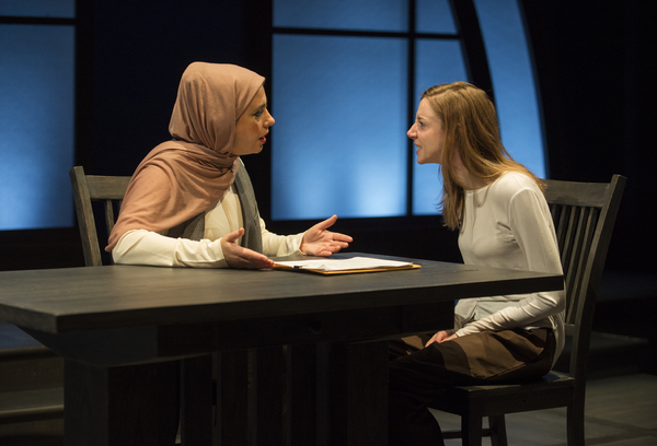 Photo Flash: Northlight Theatre Company presents FACELESS Image