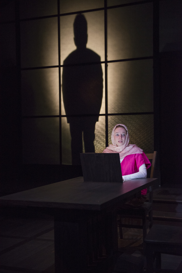 Photo Flash: Northlight Theatre Company presents FACELESS Image