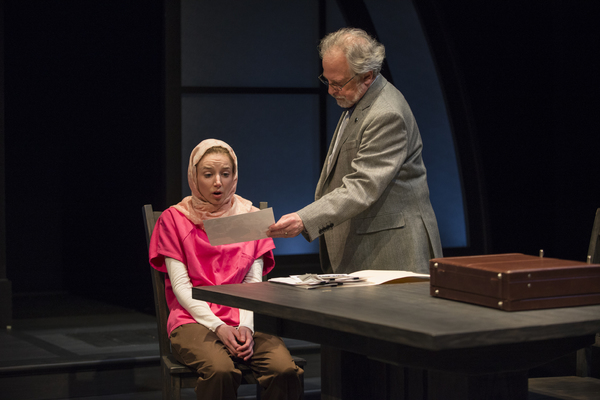 Photo Flash: Northlight Theatre Company presents FACELESS Image