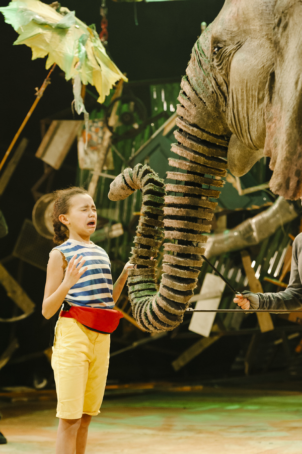 Photo Flash: First Look at Production Photos for the UK Tour of RUNNING WILD Image