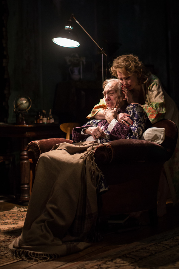 Photo Flash: First Look at Tim Hopper and More in UNCLE VANYA at the Goodman Image