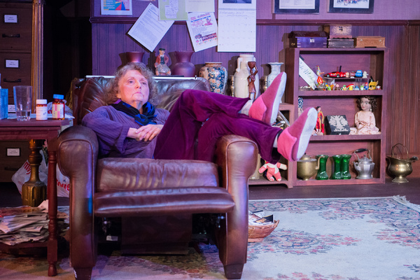 Photo Flash: Contra Costa Civic Theatre Presents WELL Image