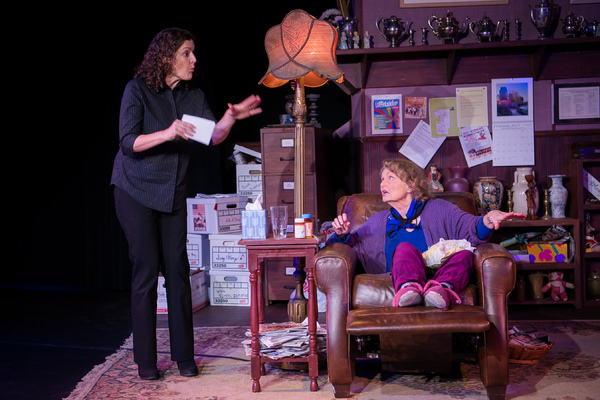 Photo Flash: Contra Costa Civic Theatre Presents WELL Image