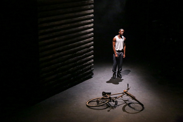 Photo Flash: GOOD DOG at the Watford Palace Theatre Image