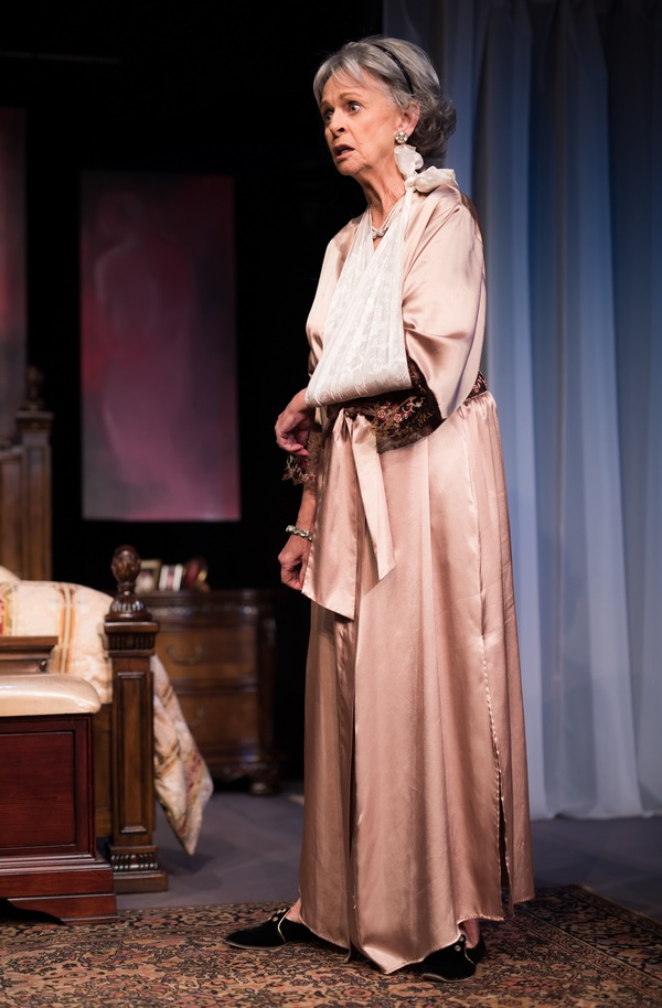 Photo Flash: First Look at THREE TALL WOMEN at The City Theatre 