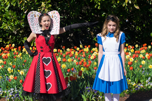 Photo Flash: Sneak Peek at Outcry Youth Theatre's Mad Adaptation of ALICE IN WONDERLAND Image