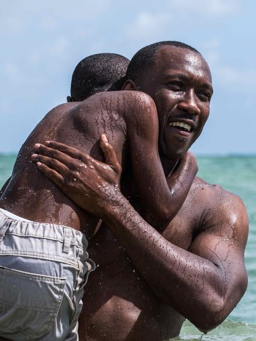 BWW Experts and Stage and Screen Stars Pick the 2017 Academy Award Winners Image