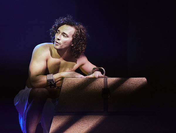 Photo Flash: Tim Wessel Proves 'Any Dream Will Do' in 'JOSEPH' at Beef & Boards Image