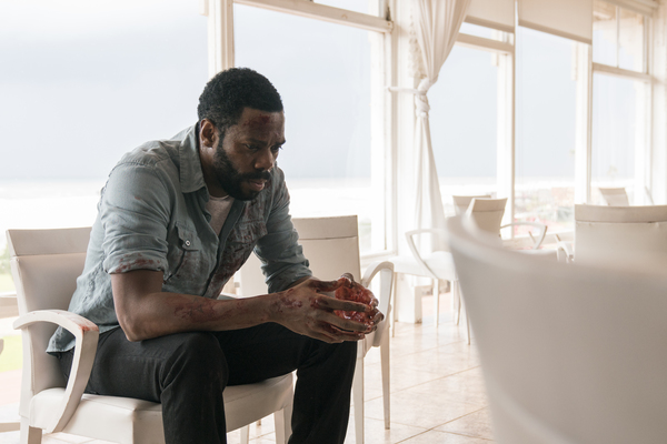 Photo Flash: First Look - AMC's FEAR THE WALKING DEAD Season 3 Image