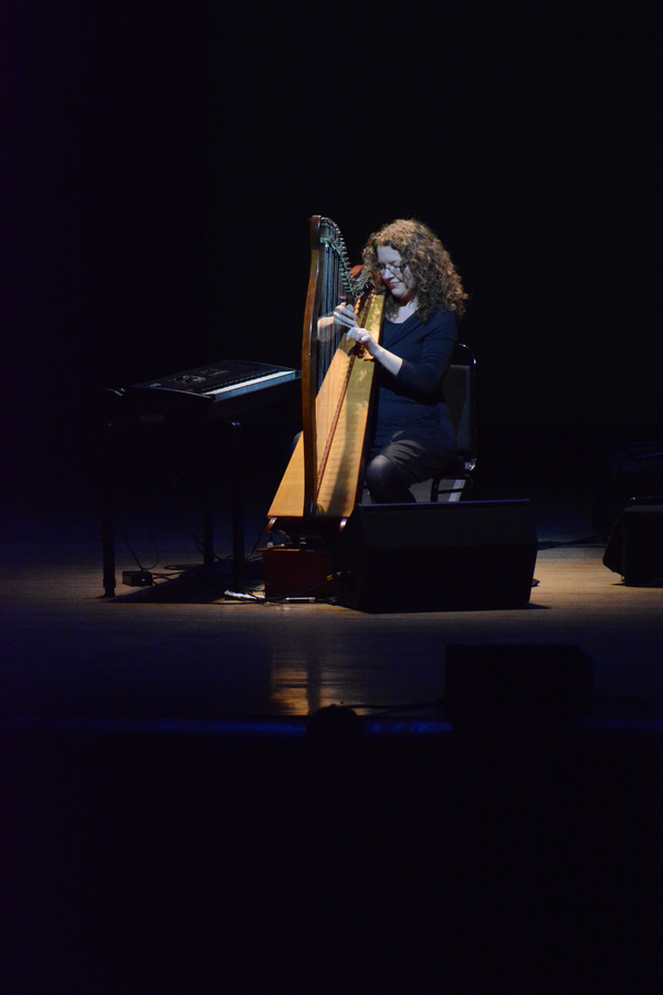 Photo Coverage: The Chieftains Celebrate their 55th Anniversary at The Kupferberg Center Image