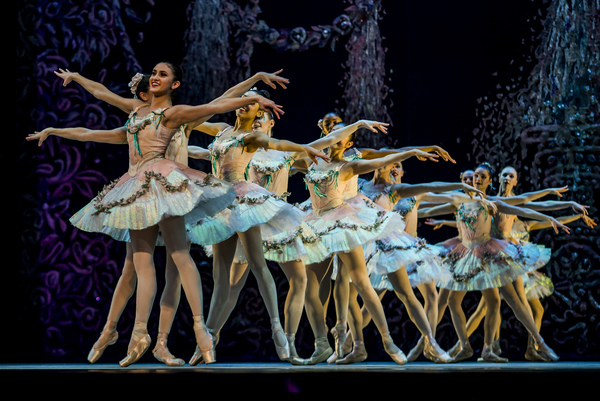 BWW Previews: LE CORSAIRE at Academy Of Music in Philadelphia Image