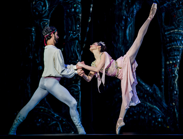 BWW Previews: LE CORSAIRE at Academy Of Music in Philadelphia Image