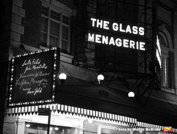 Photo Coverage: Sally Field, Joe Mantello, and Cast Take Opening Night Bows at THE GLASS MENAGERIE Image