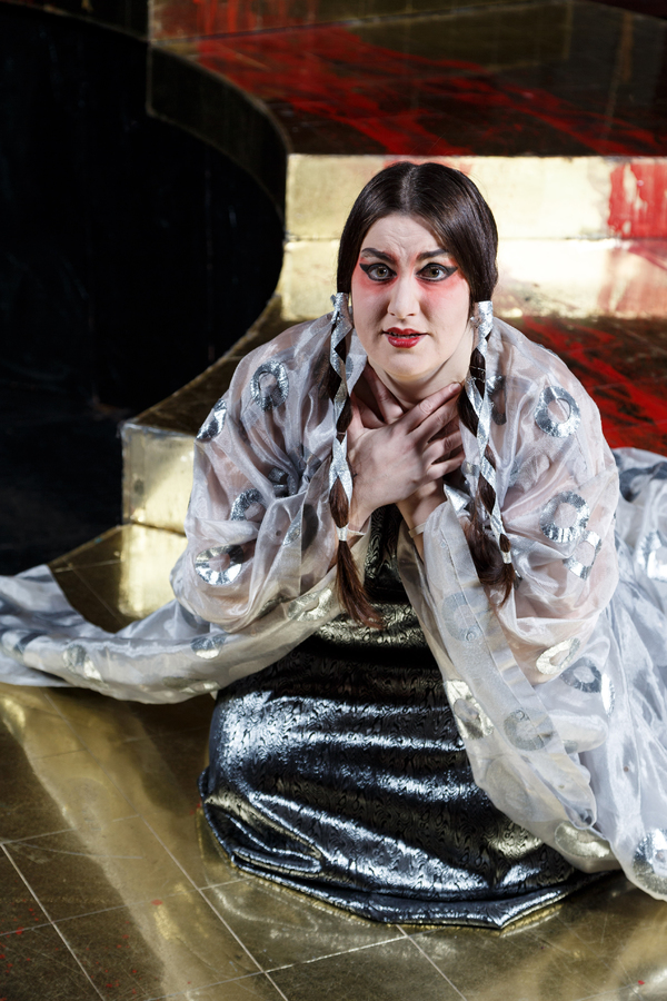 Photo Flash: First Look at Pittsburgh Opera's TURANDOT Image