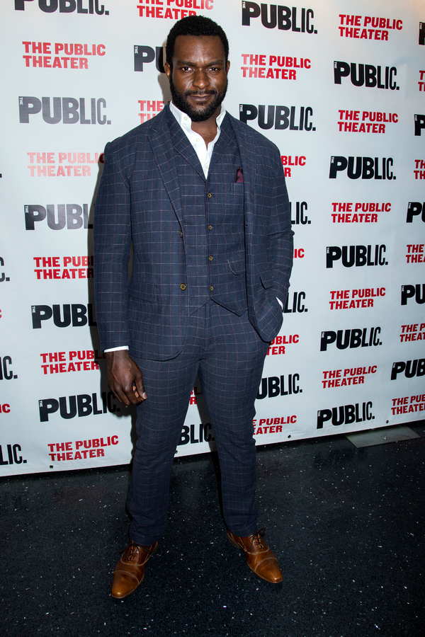 Photo Coverage: Go Inside Opening Night of David Byrne's JOAN OF ARC at the Public Theater Image