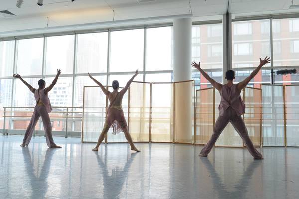 Photo Flash: Amanda Selwyn Dance Theatre Presents Annual WHITE NIGHT Gala Image