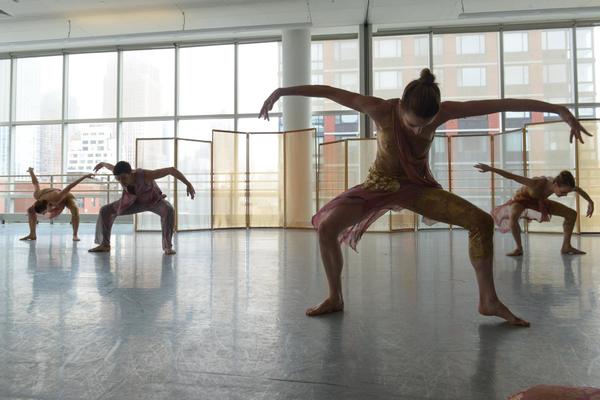 Photo Flash: Amanda Selwyn Dance Theatre Presents Annual WHITE NIGHT Gala Image