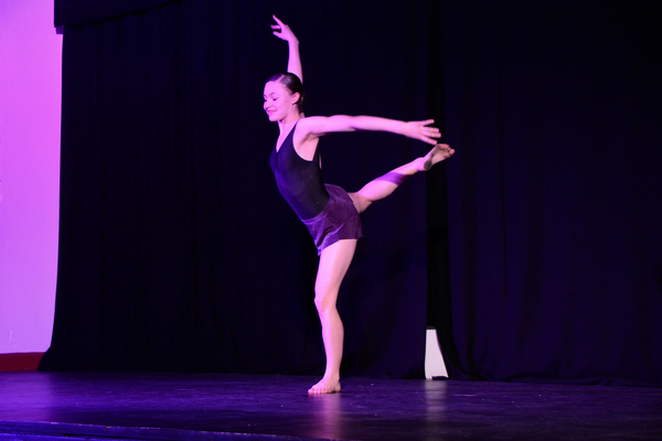 Photo Coverage: Little by Little's DE NOVO Showcases Young Talent and Raises Money Image