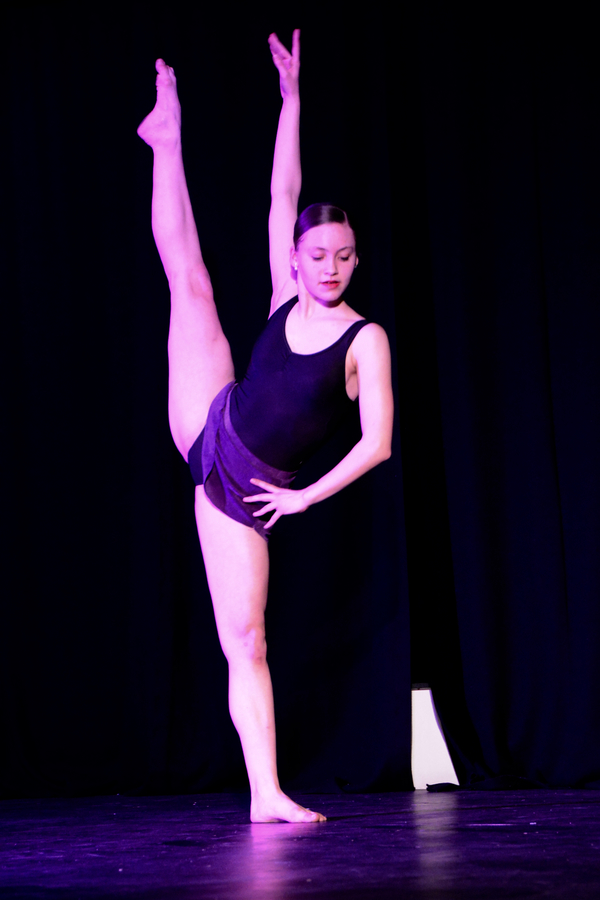 Photo Coverage: Little by Little's DE NOVO Showcases Young Talent and Raises Money Image