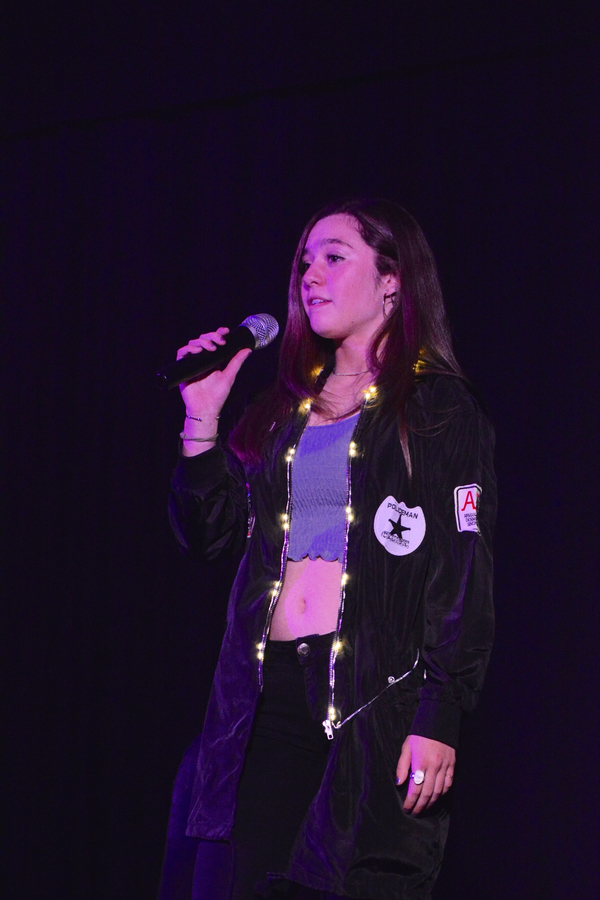Photo Coverage: Little by Little's DE NOVO Showcases Young Talent and Raises Money Image