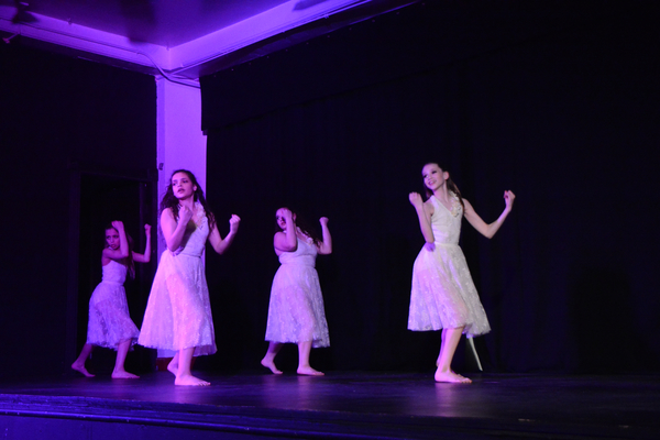 Photo Coverage: Little by Little's DE NOVO Showcases Young Talent and Raises Money Image