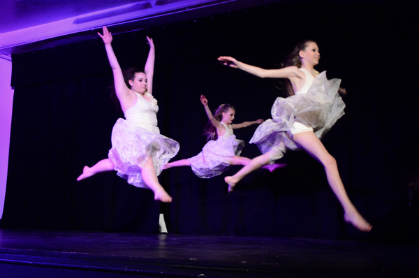 Photo Coverage: Little by Little's DE NOVO Showcases Young Talent and Raises Money Image