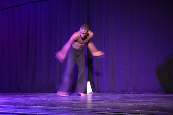 Photo Coverage: Little by Little's DE NOVO Showcases Young Talent and Raises Money Image