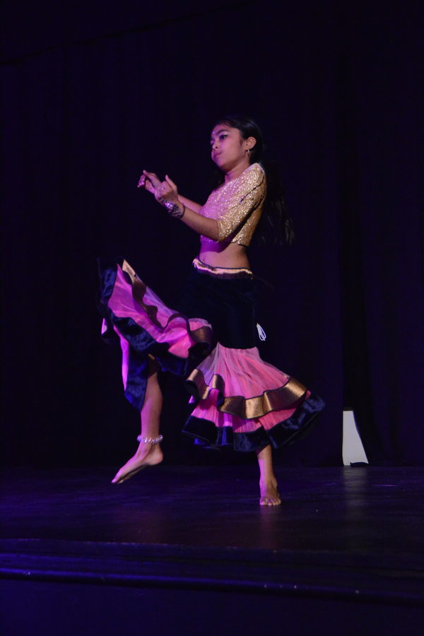 Photo Coverage: Little by Little's DE NOVO Showcases Young Talent and Raises Money Image