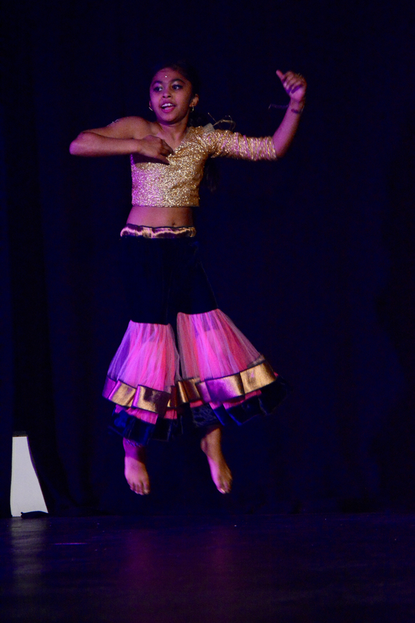 Photo Coverage: Little by Little's DE NOVO Showcases Young Talent and Raises Money Image