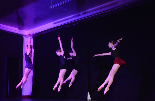 Photo Coverage: Little by Little's DE NOVO Showcases Young Talent and Raises Money Image