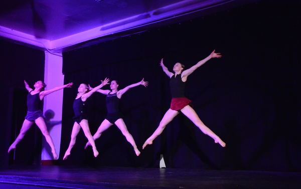Photo Coverage: Little by Little's DE NOVO Showcases Young Talent and Raises Money Image