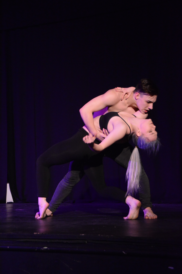 Photo Coverage: Little by Little's DE NOVO Showcases Young Talent and Raises Money Image