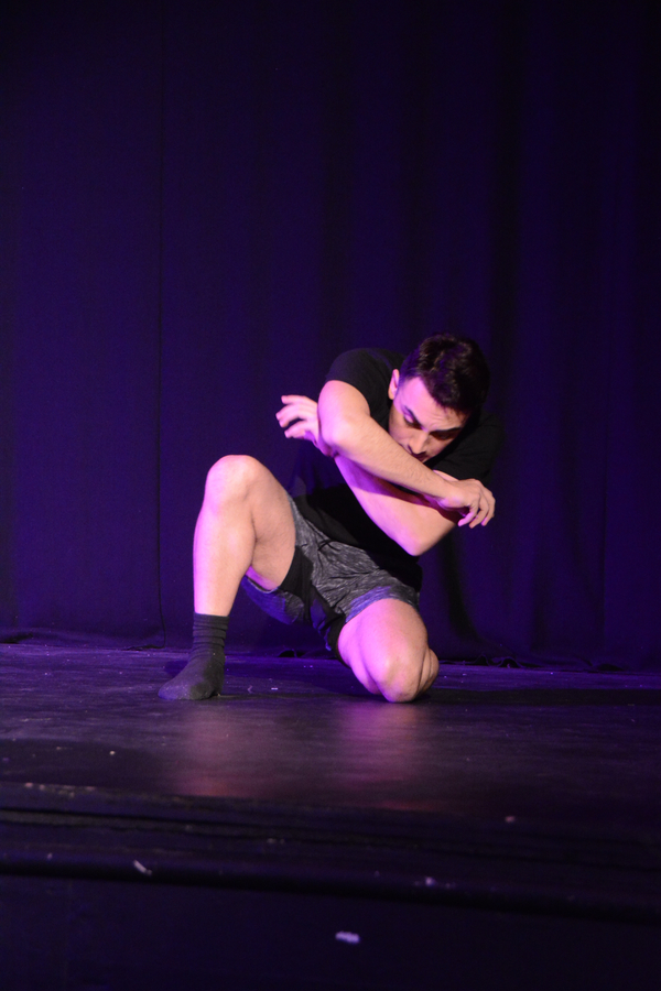 Photo Coverage: Little by Little's DE NOVO Showcases Young Talent and Raises Money Image