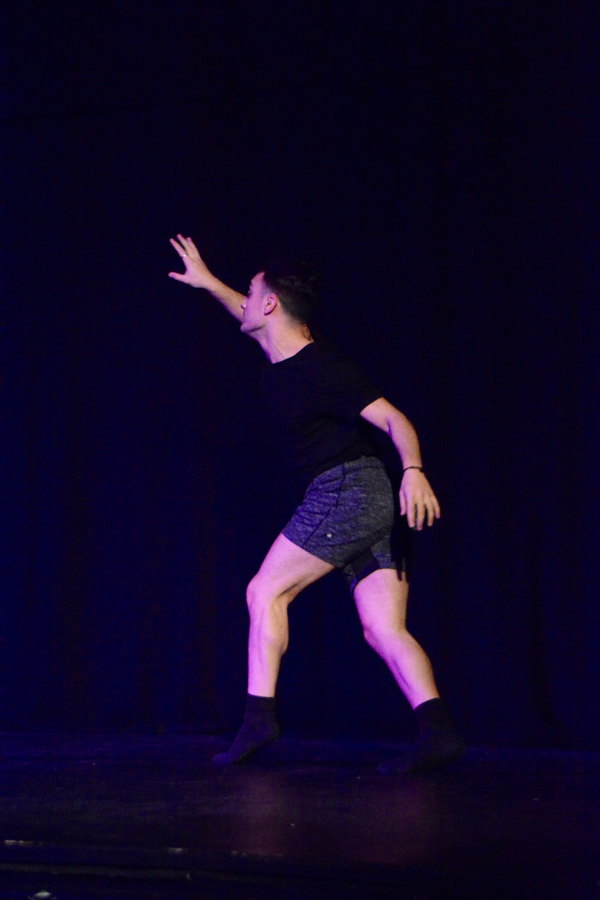 Photo Coverage: Little by Little's DE NOVO Showcases Young Talent and Raises Money Image