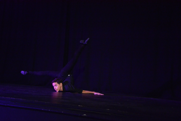 Photo Coverage: Little by Little's DE NOVO Showcases Young Talent and Raises Money Image