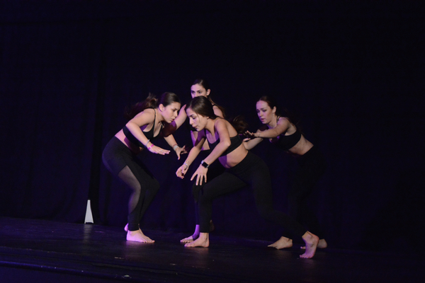 Photo Coverage: Little by Little's DE NOVO Showcases Young Talent and Raises Money Image