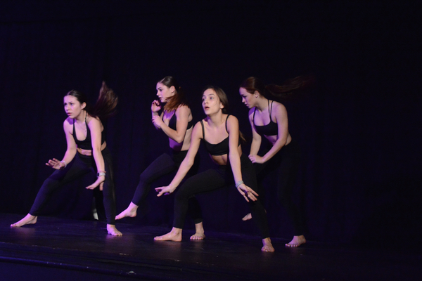 Photo Coverage: Little by Little's DE NOVO Showcases Young Talent and Raises Money Image