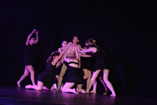 Photo Coverage: Little by Little's DE NOVO Showcases Young Talent and Raises Money Image