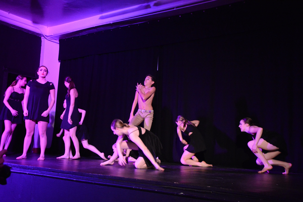 Photo Coverage: Little by Little's DE NOVO Showcases Young Talent and Raises Money Image