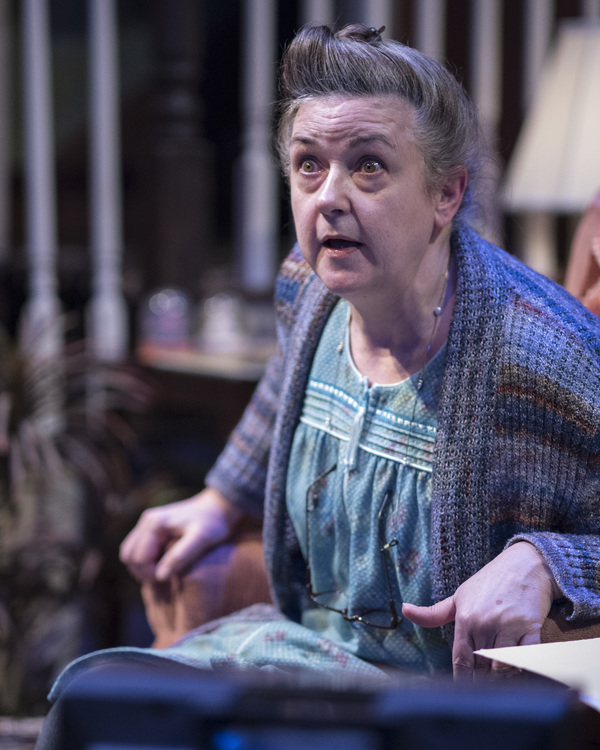 Photo Flash: First Look at Lisa Kron's WELL at 1st Stage Image