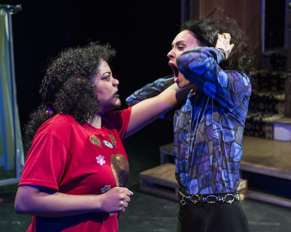 Photo Flash: First Look at Lisa Kron's WELL at 1st Stage Image